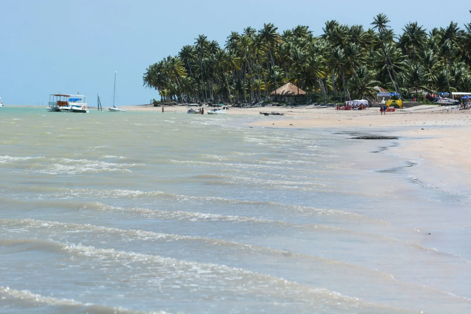 Banco de areia e ponta de coqueiros no litoral de Maragogi, na Costa dos Corais