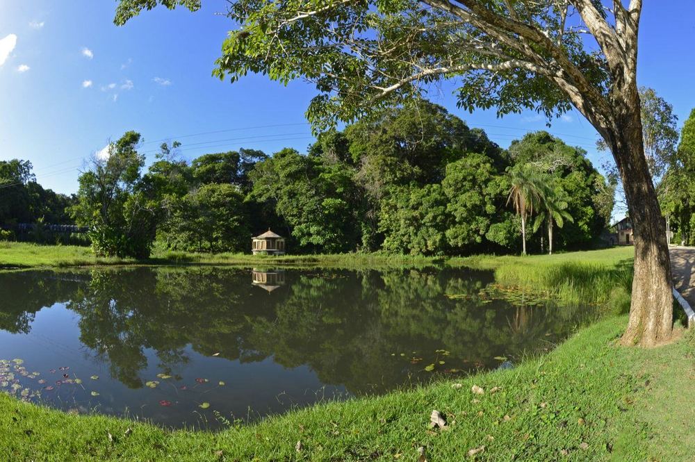 Jardim Botânico Benjamim Maranhão (Mata do Buraquinho), João Pessoa